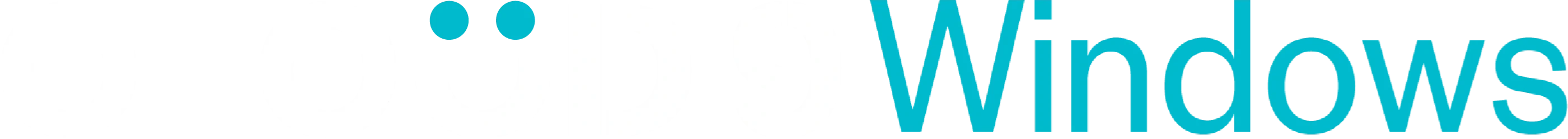 Cloud 9 Window Replacements