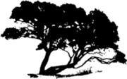 Coastal Construction logo