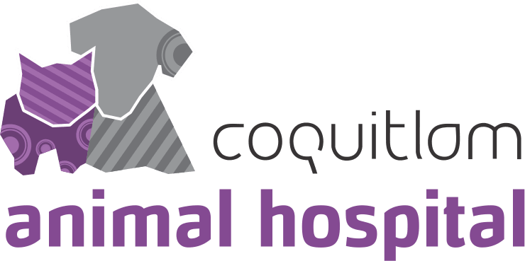 Coquitlam Animal Hospital logo