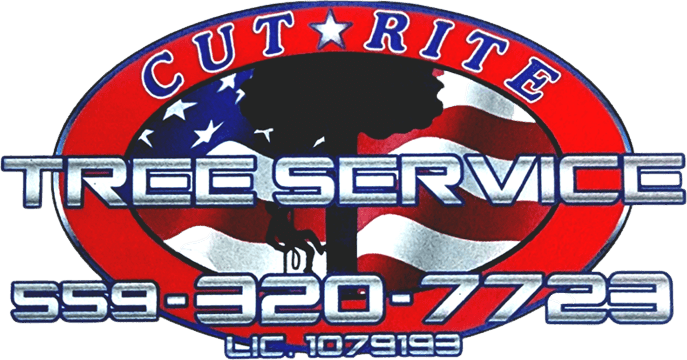 Cut Rite Tree Service Fresno