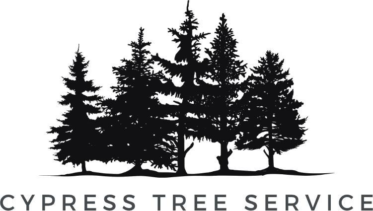 Cypress Tree Service