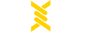 Damn Straight Fencing