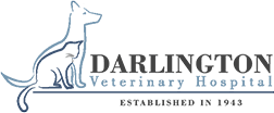 Darlington Veterinary Hospital