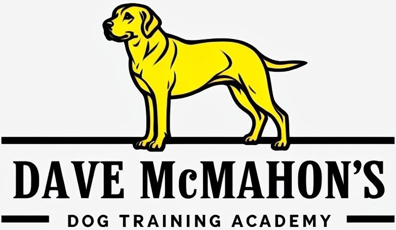 Dave McMahon’s Dog Training Academy logo