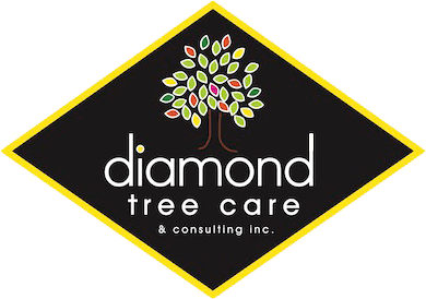 Diamond Tree Care & Consulting Inc. logo