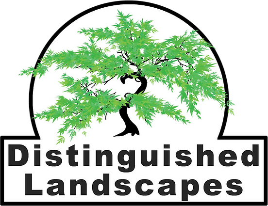 Distinguished Landscapes
