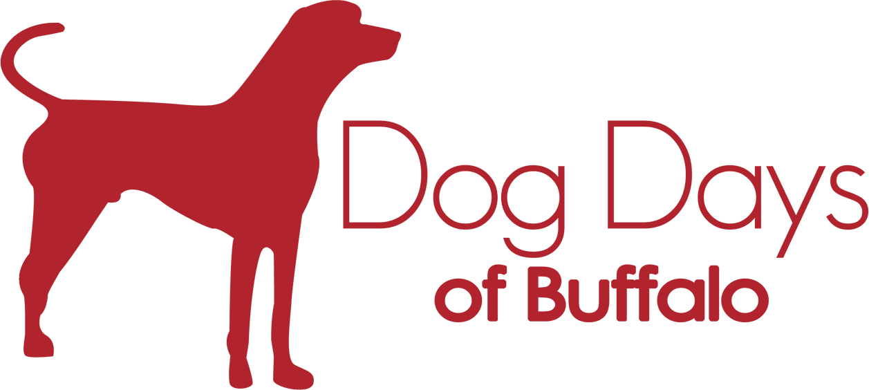 Dog Days of Buffalo Amherst Street logo