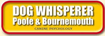 Dog Whisperer Poole & Bournemouth