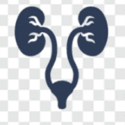 Dr. Mayur Raosaheb Dalvi, MBBS, MS, M. Ch logo