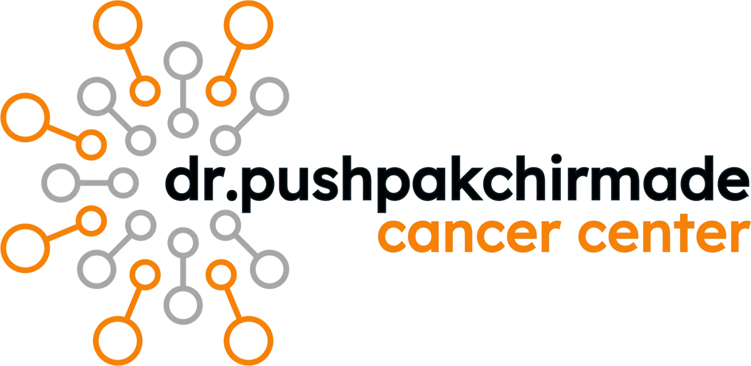 Dr. Pushpak Chirmade, MBBS, MD, DM logo