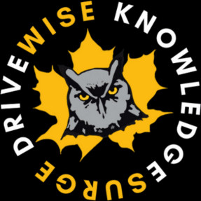 DriveWise Orangeville logo