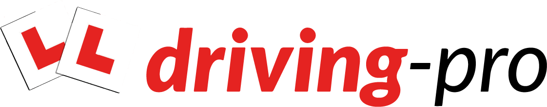 Driving-Pro logo