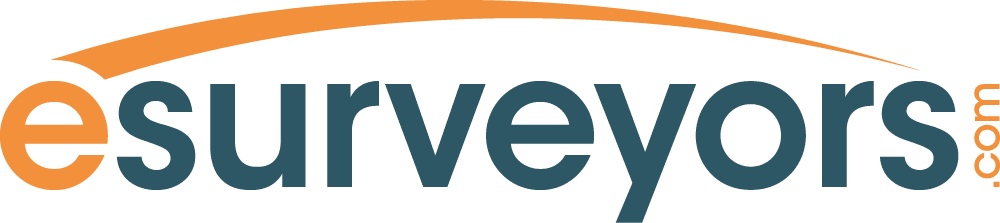 E Surveyors logo