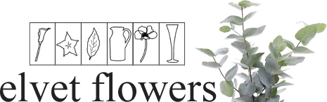 Elvet Flowers