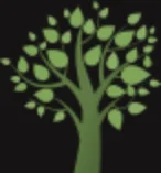 Empire Tree Service