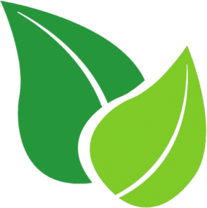 Energy Saver Tech Ltd.