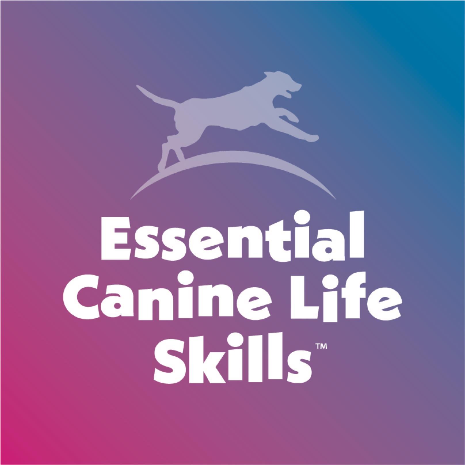 Essential Canine Life Skills Ltd