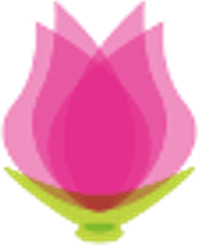 Euro Massage logo
