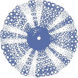 Felicity Christian Architect logo