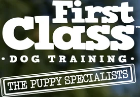 First Class Dog Training