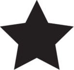 Five Star Event Sevices LLC logo
