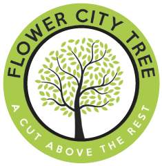 Flower City Tree