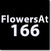 Flowers at 166 logo