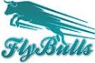 Flybulls Services Pvt. Ltd logo