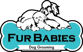 FUR BABIES