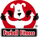 Furball Fitness Dog Walking & Pet Care, LLC