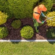 Garden of Eden Garden Care