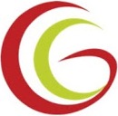 Gemini Geeks Technologies Pvt. Ltd. logo