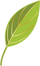 Green Forest Cabinetry logo