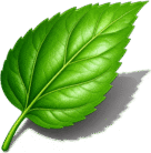 Green Leaf Tree Service logo