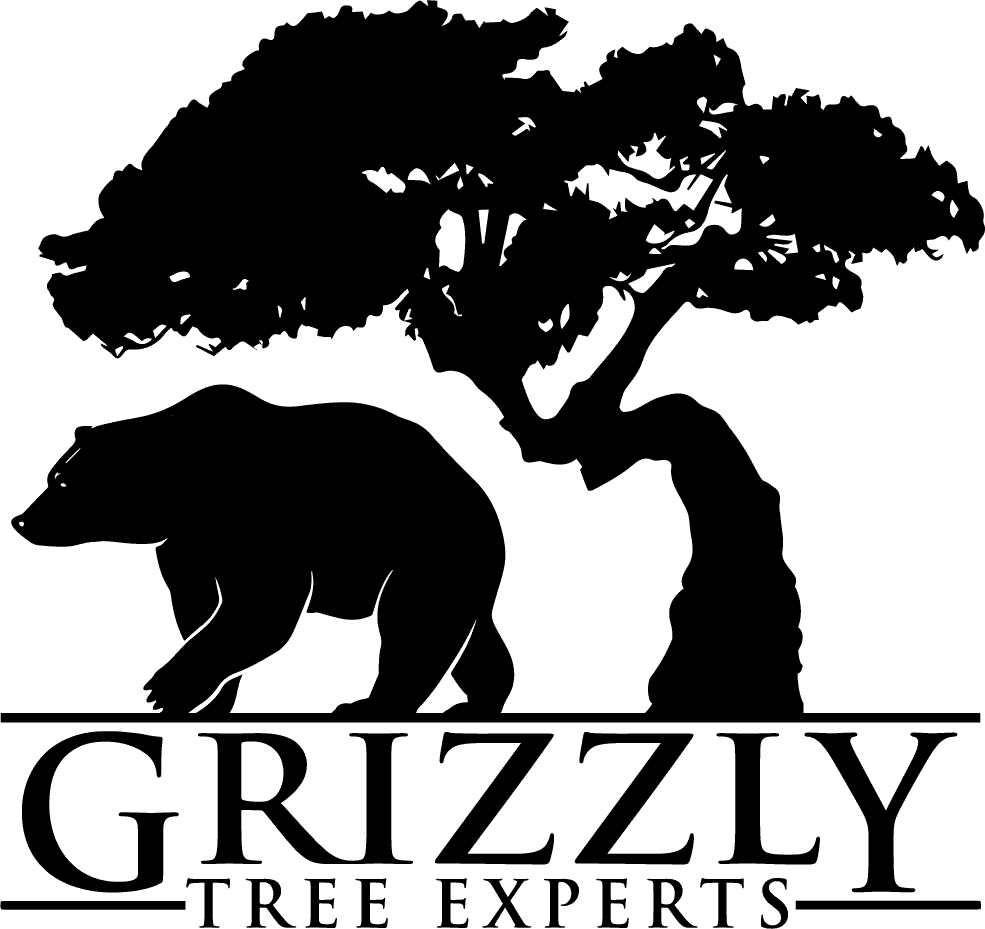 Grizzly Tree Experts
