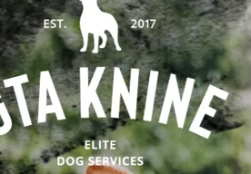 GTA KNINE