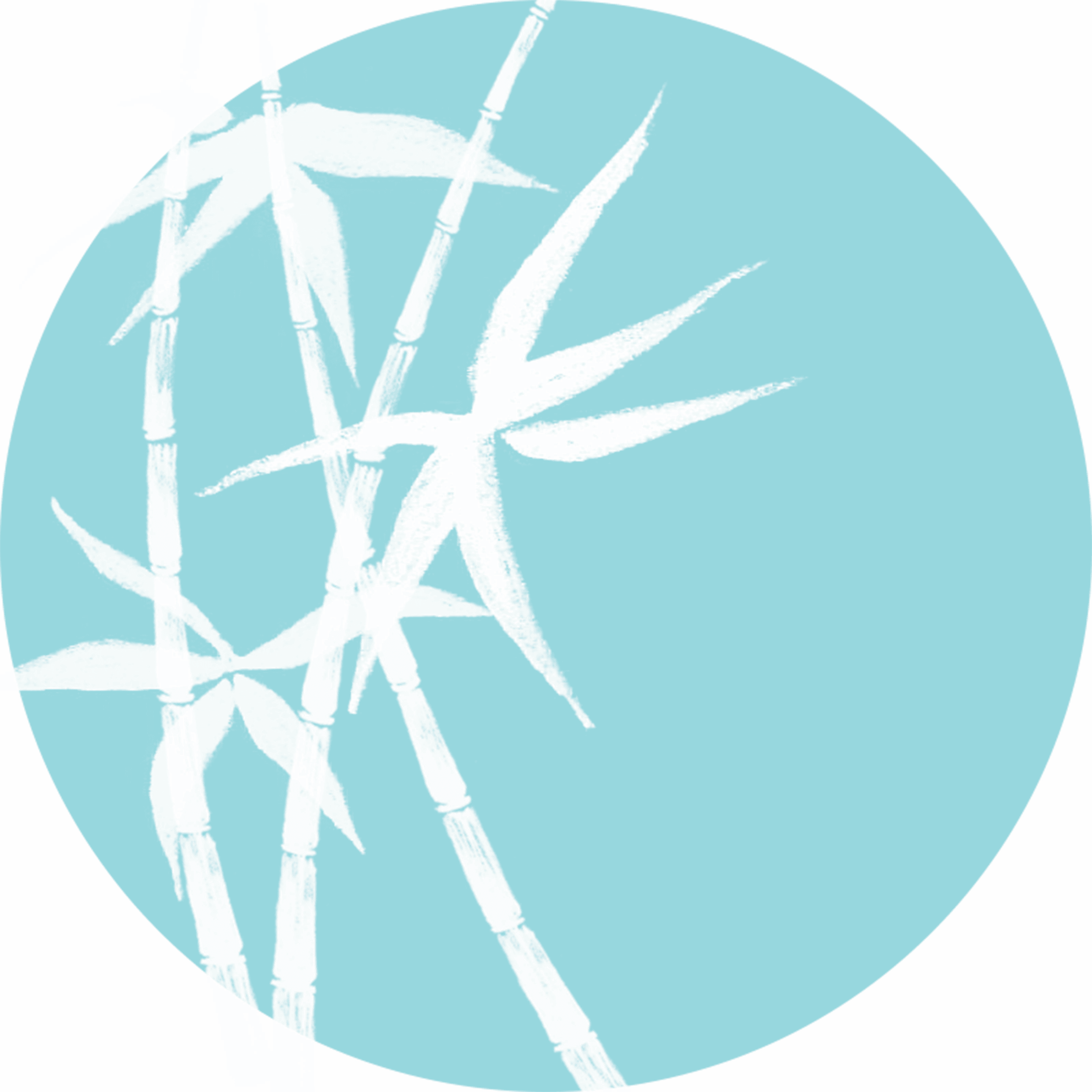 Healica Massage Therapy