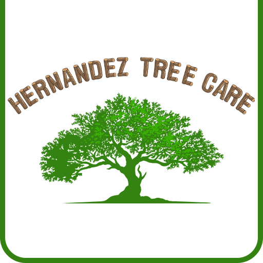 Hernandez tree care