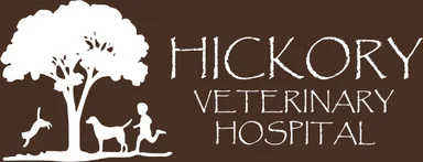 Hickory Veterinary Hospital