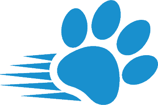High Speed Paws