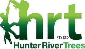 Hunter River Trees