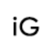 I GRACE Event Organisers