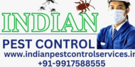 Indian Pest Control