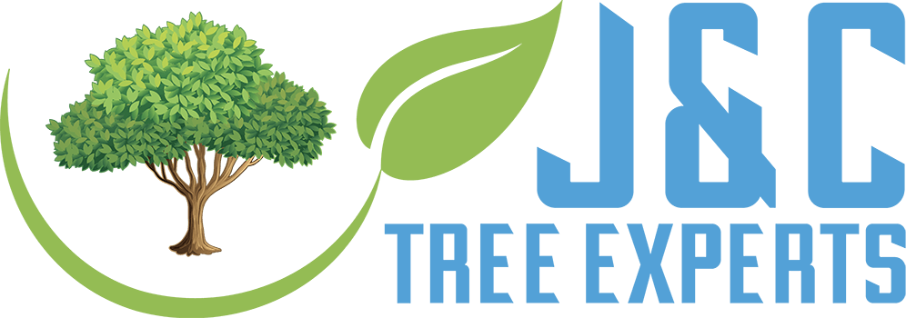 J&C Tree Experts