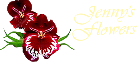 Jenny's Flowers