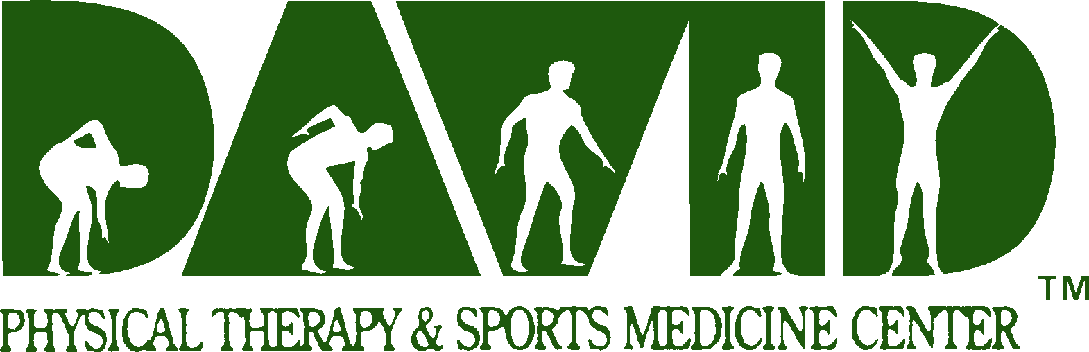 Joseph M. David, DPT, MS, PT, OCS, CSCS logo