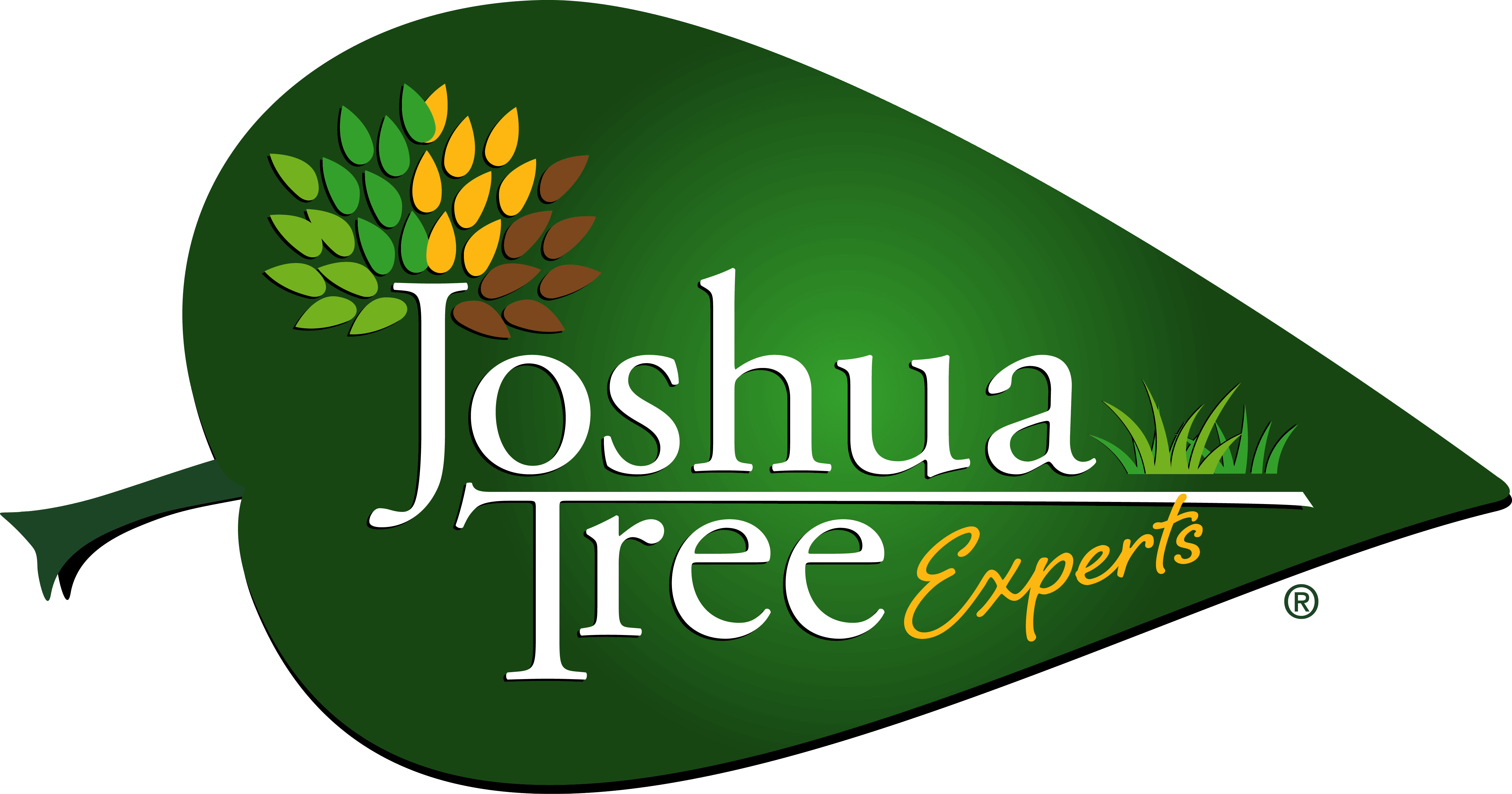 Joshua Tree Experts