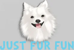Just Fur Fun Dog Daycare