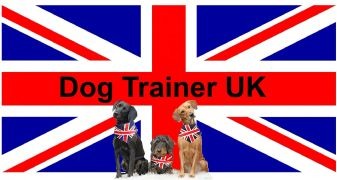 Kent Dog Training