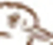 KW Kitchens & Interiors logo